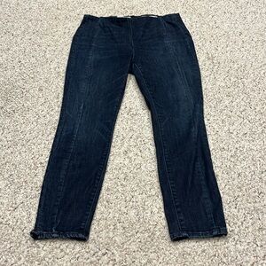 Anthropologie Pilcro and the Letterpress High Rise Denim Leggings Pull On Sz 32